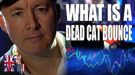 What Is A Dead Cat Bounce The Day Trader Martynlucas Youtube