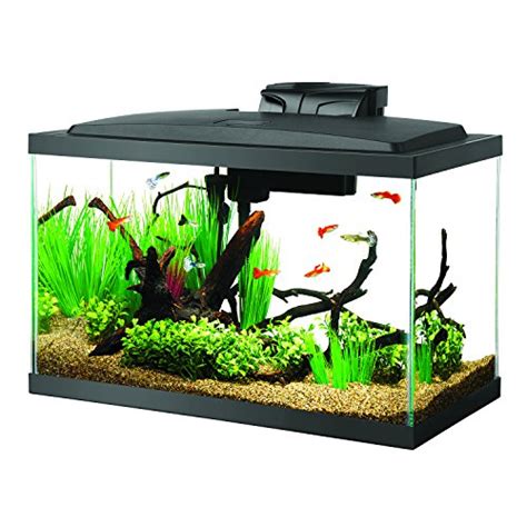 Aqueon Aquarium Fish Tank Starter Kits With Led Lighting Aquarium Edge
