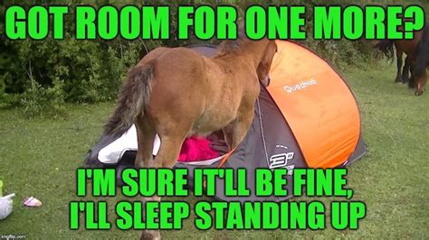 35 funny camping memes that make us laugh out loud peanuts or pretzels grain of sound