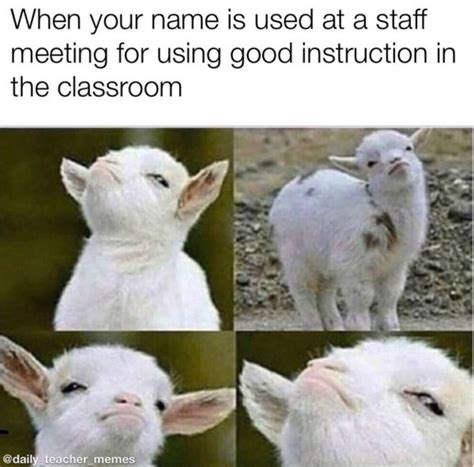 Memes For Teachers 30 Pics