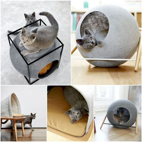 35 Adorable Cat House Pets Design Ideas Browsyouroom Ideias De