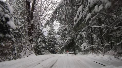 The Big Snowstorm Of 2020 Jan Vancouver Bc West Coast Stanley Park Full