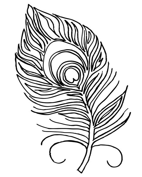 Bird Feather Coloring Pages At Free Printable