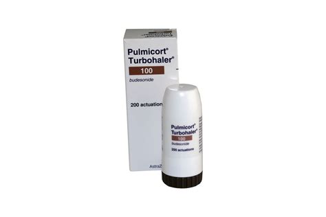 I learned my lesson the hard way, my cat had. Asthma Inhalers Brown - Asthma Lung Disease