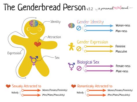 Die Genderbread Person Version 3 Its Pronounced Metrosexual Wzrost
