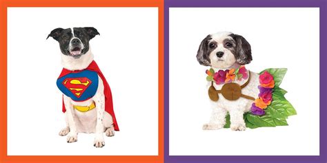 35 Funny Dog Halloween Costumes Cute Ideas For Pet Costumes