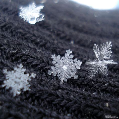 Snowflakes Are Agglomerates Of Frozen Ice Crystals Falling Through The