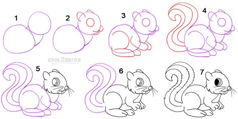 How To Draw A Squirrel Step By Step Pictures Cool2bkids