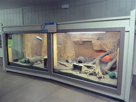 Tropics Building Meerkat Exhibit Zoochat