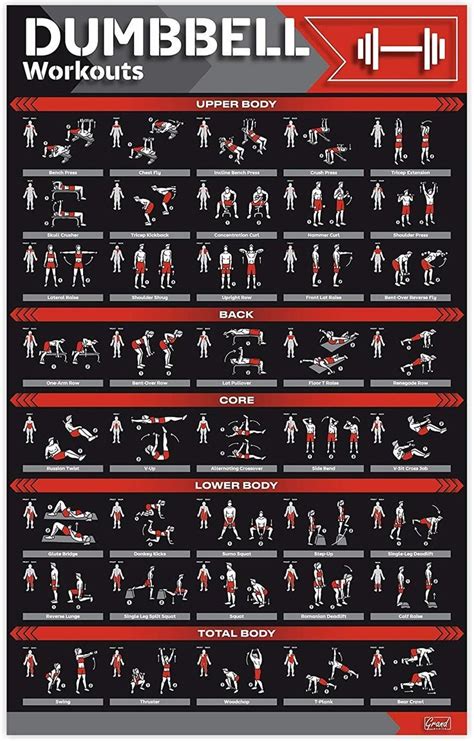 Dumbbell Dumbbell Workout Barbell Workout Workout Posters Gym
