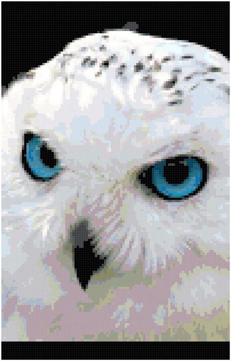 Cross Stitch Blue Eyed Snow Owl Close Up Pattern Design Chart