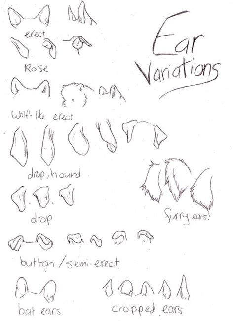 Anime Cat Ears Drawing Reference Animecatears How To Draw Anime