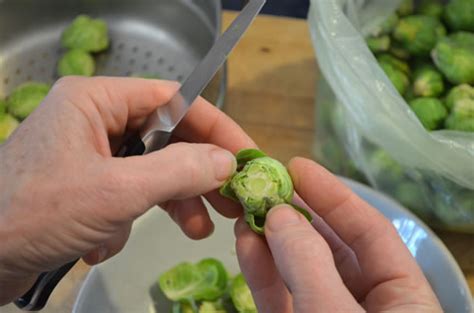 Aphids The Yucky Bug And How To Prep Brussels Sprouts Live Earth Farm