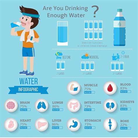 Premium Vector Drinking Water For Health Infographics