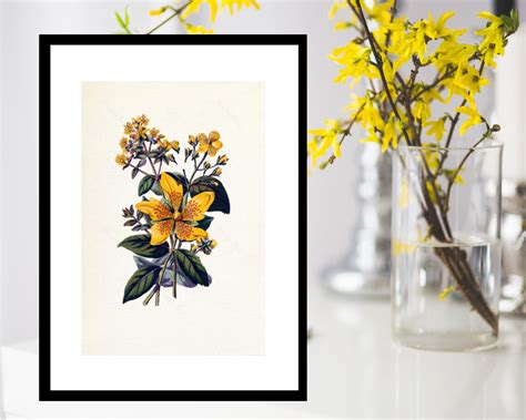 Yellow Wildflowersvintage Botanical Print Art A4 Image Etsy