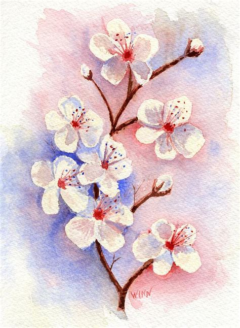 Watercolor Cherry Blossom Flower Painting Cherry Blossom Sakura