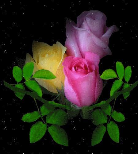 Pastel Roses With Glitter Pictures Photos And Images For Facebook