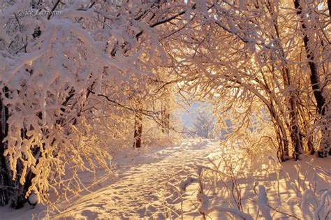 Зимние Пейзажи Фото Красивые Природы Telegraph