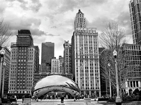 Chicago Skyline In Black And White Photograph By Tammy Wetzel