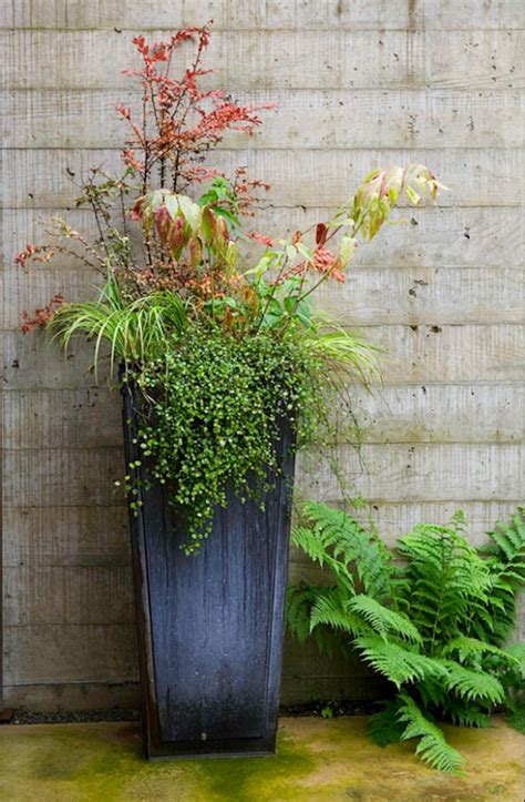 25 Inspirations Of Tall Outdoor Potted Plants