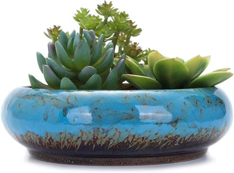The 15 Best Pots For Succulents Of 2023 Best Garden Tips