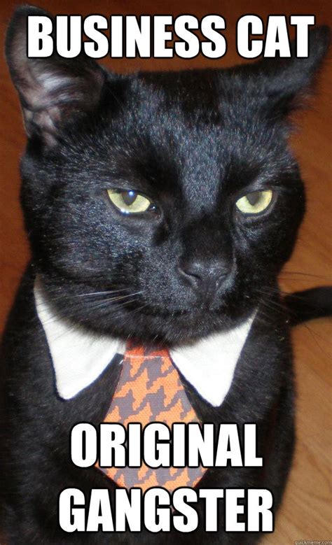 Business Cat Original Gangster Oscars True Identity Quickmeme