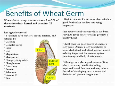 The Benefits Of Wheat Germ Wheat Germ Benefits Wheat Germ How To