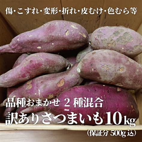 【送料無料】訳ありさつまいも 品種おまかせ 2種 約10kg（保証分500g込み） 南房総産 大小無選別 傷あり 不揃い 色むら 変形 シルク