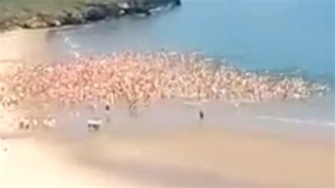 More Than Women Skinny Dip In Irish Sea Breaking World Record Video Dailymotion