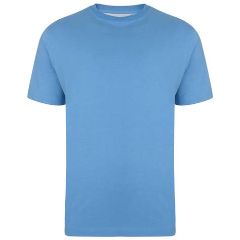 Kam Jeanswear Basics Crew Neck T Shirt Powder Blue Sizes Available