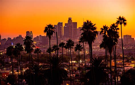 Palm Trees Los Angeles Cityscape Sky Sunset Hd Wallpaper Rare