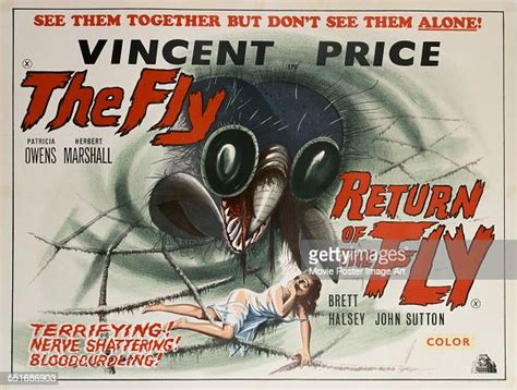 A Horror Film Double Bill Poster For Kurt Neumanns 1958 The Fly