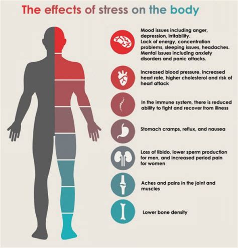 The Effect Of Stress On Your Body Executive Medicine Executive Medicine