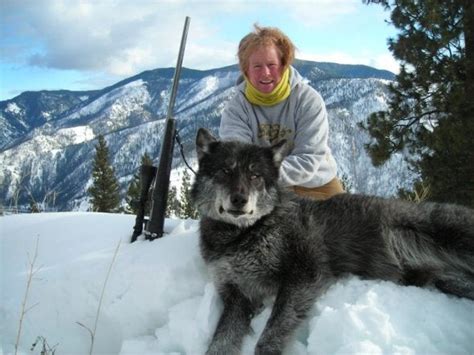 Man The Wolves In Idaho Sure Are Big