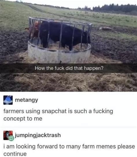 Not A Farmer But Thought Yall Would Like This Im Here For The Farm Memes Keep It Up Guys R