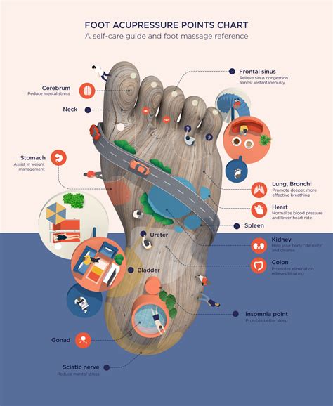 Acupressure Points Pressure Chart For The Feet