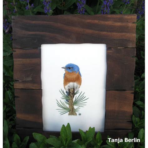Hand Embroidery Kit Eastern Blue Bird On Pine Branch Needle Etsy