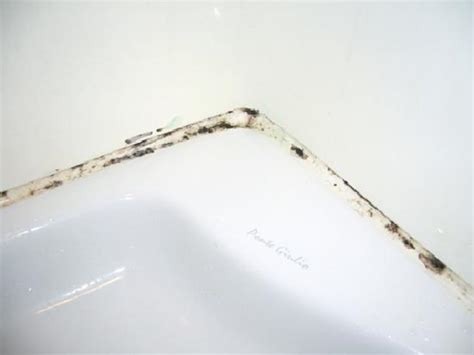 You can try this mold removal method but it is time consuming and usually doesn't get more than. How to Clean Moldy Caulking | Maid in Chicago