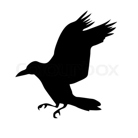 Vector Silhouette Of The Raven Isolated On White Background Stock