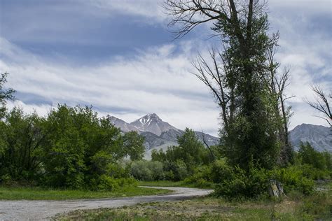 Mt Mccaleb Lost River Range From Riparian Forest Area Ne Flickr