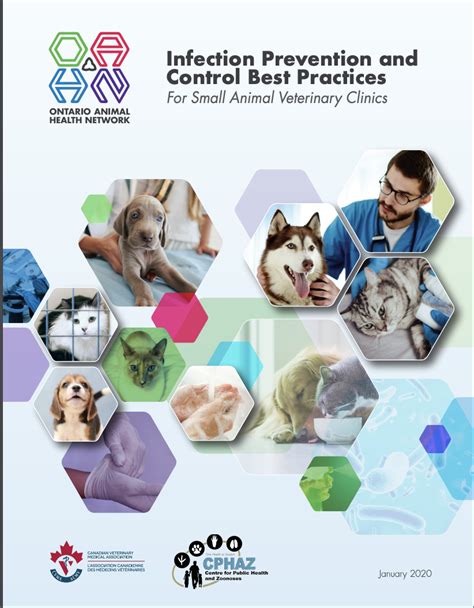 Infection Prevention And Control Best Practices For Small Animal