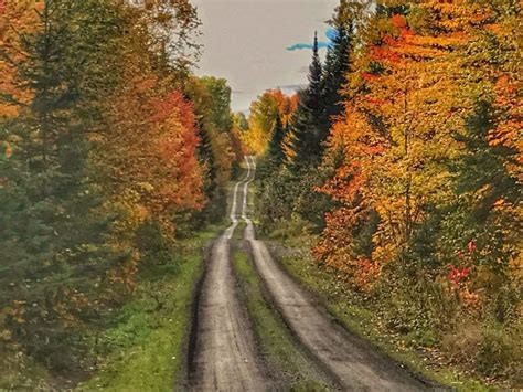 Its A Dirt Road Kind Of Day In The North Maine Woods Maine