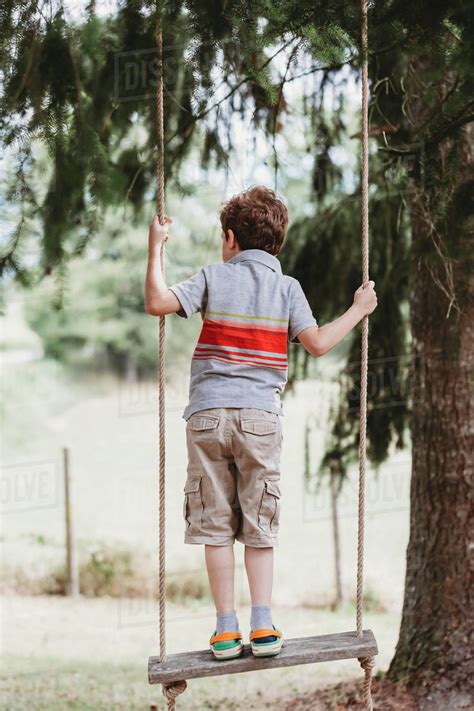 Rear View Of Boy Standing On Swing Under Pine Trees Stock Photo