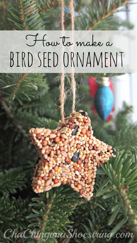The birdseed mix that we usually use is called outdoor songbird mix, but this time around my other half found a huge bag of seed on sale with black sunflower seeds in the mix. How to Make a Bird Seed Ornament - Cha-Ching on a Shoestring™