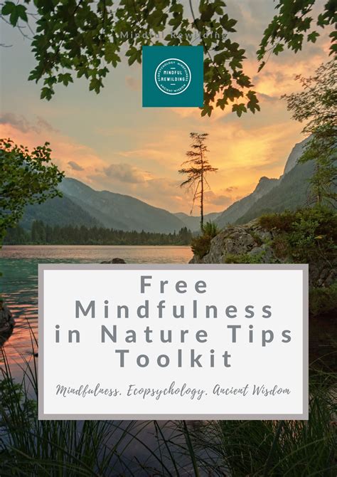 Free Mindfulness In Nature Tips Toolkit Welcome To Mindful Rewilding