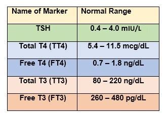 T T Tsh Normal Values During Pregnancy Pregnancywalls