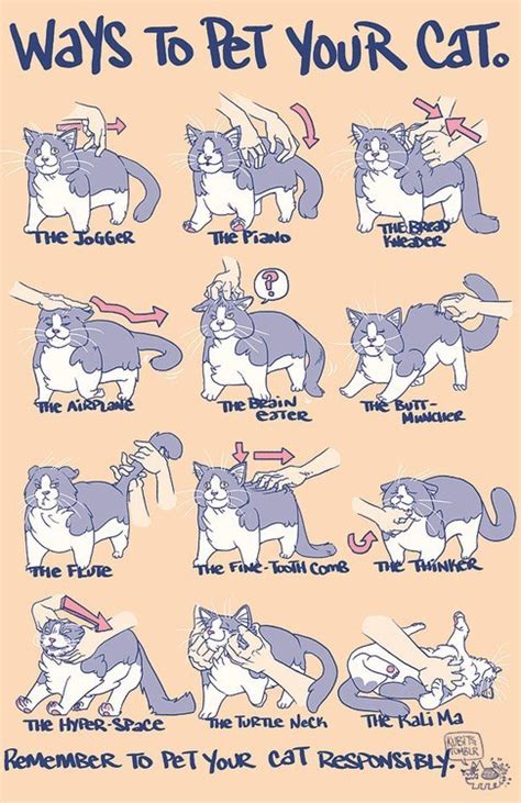 A Collection Of Odd Petting Your Pussy
