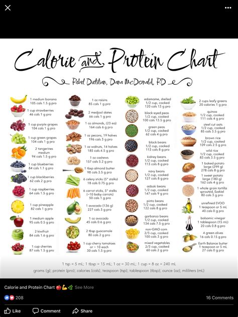 Calorie Chart For All Foods My Xxx Hot Girl