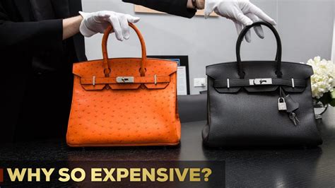 Why Birkin Bags Are So Expensive 5 Reasons So Expensive Youtube
