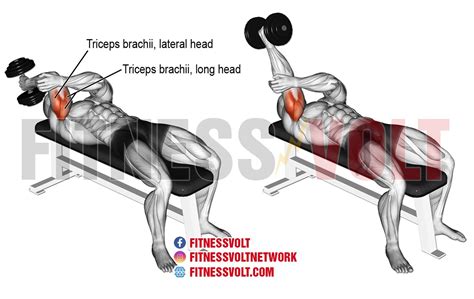 Lying One Arm Dumbbell Triceps Extension Triceps Fitness Volt